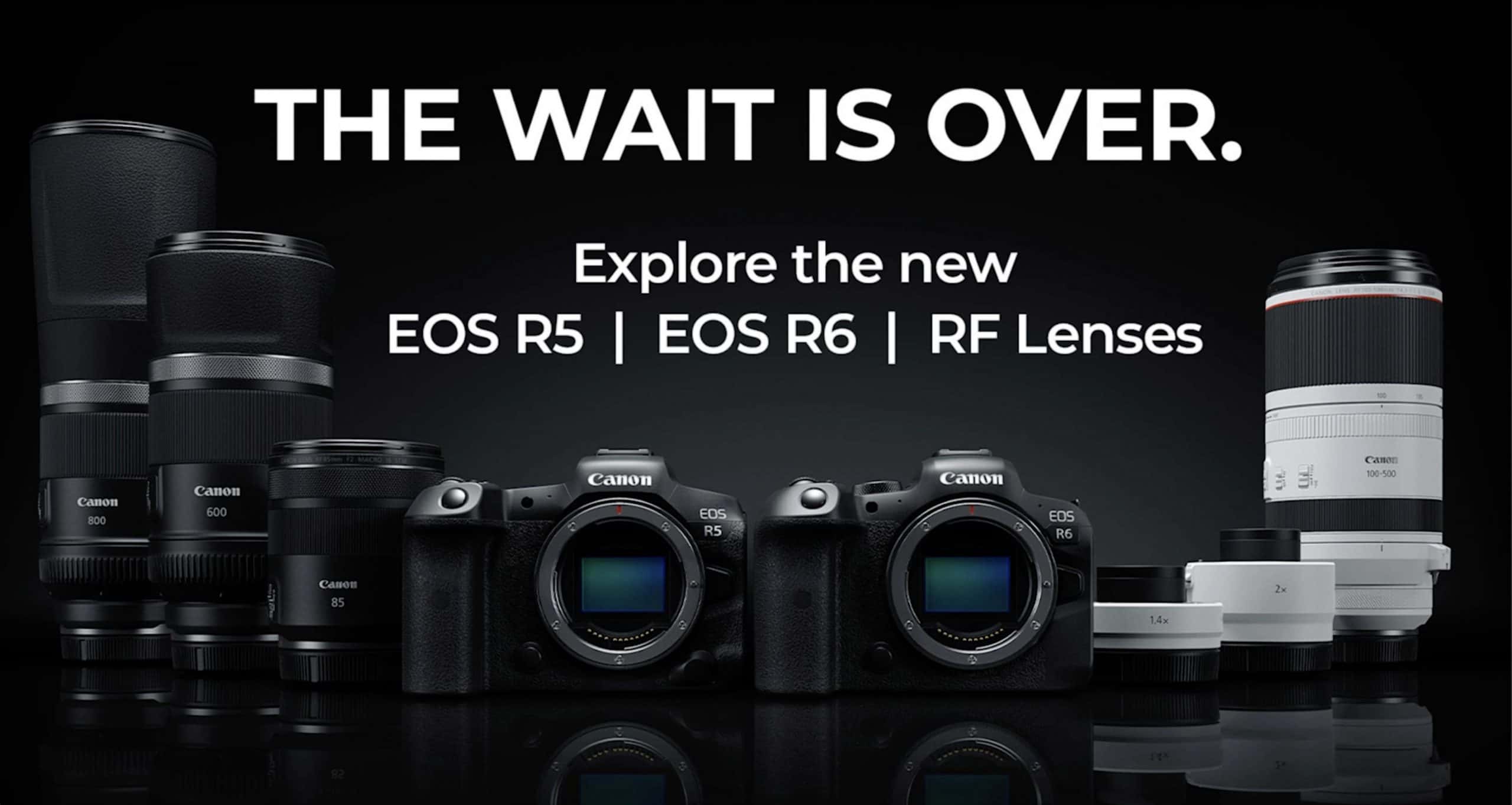 Canon EOS R5 VS R6: Everything You Need To Know