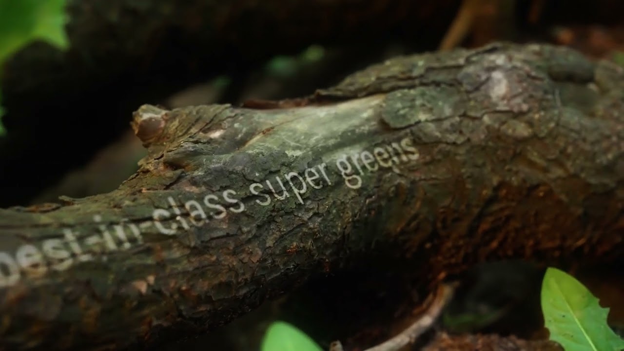 Good Earth Masterfoods brand film — commercial video produced by Origin Films
